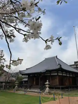 高家寺の本殿・本堂