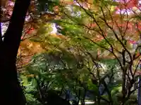 添田神社(福岡県)