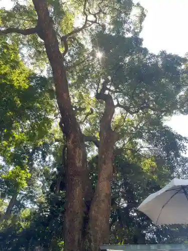 久能山東照宮(静岡県)