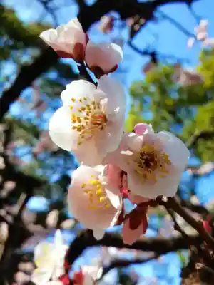 田端神社(東京都)