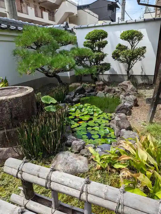 報土寺(京都府)