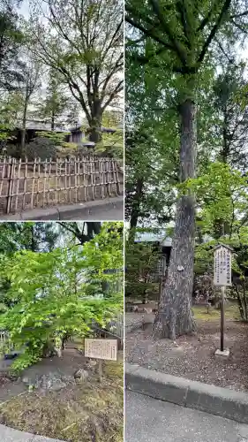 北海道神宮の自然