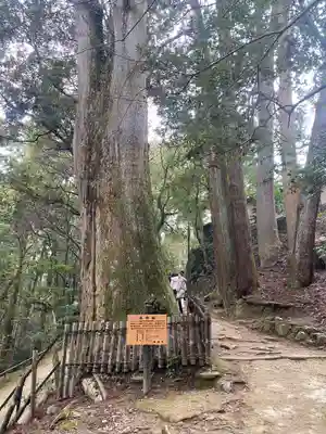 圓教寺(兵庫県)