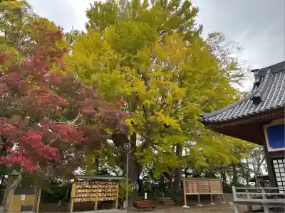 白子神社(千葉県)