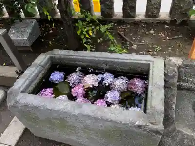 お三の宮日枝神社の手水舎