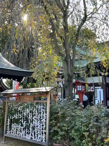 川越八幡宮(埼玉県)