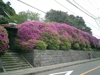 安養院　(田代寺）の周辺