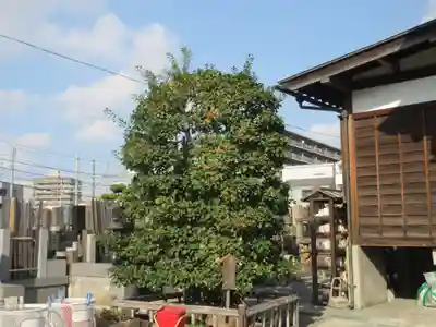 慶運寺(神奈川県)