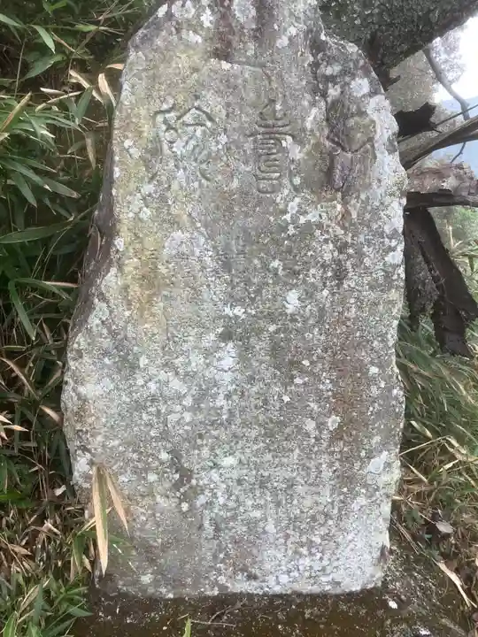 舌根寺廃寺・力寿の桜(愛知県)