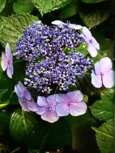 乃木神社(東京都)