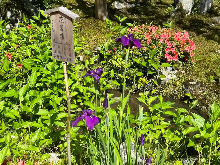 天龍寺(京都府)