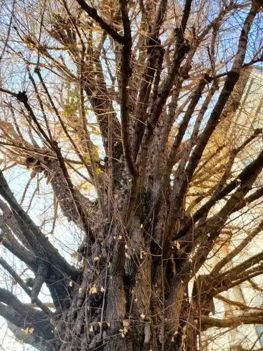 稼穡稲荷社(東京都)