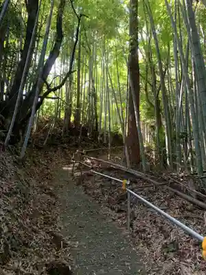 宇迦神社(千葉県)