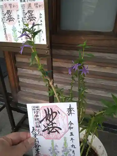 妙蓮寺(神奈川県)