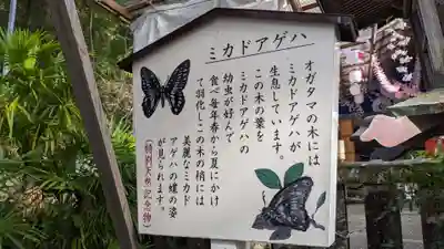 椙本神社の動物