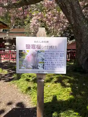 志波彦神社・鹽竈神社(宮城県)