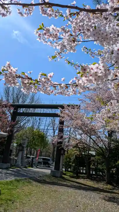 烈々布神社の{uncategorized: "未分類", other: "その他", undefined: "問題あり", building: "その他建物", grave: "お墓", sacred_gate: "鳥居", guardian: "狛犬", statue: "像", buddha: "仏像", history: "歴史", nature: "自然", garden: "庭園", animal: "動物", pagoda: "塔", temizu: "手水舎", mountain_gate: "山門・神門", sanctuary: "本殿・本堂", subordinate: "末社・摂社", art: "芸術", scenery: "景色", jizo: "地蔵", ema: "絵馬", goshuin: "御朱印", omikuji: "おみくじ", items: "授与品その他", amulet: "お守り", goshuincho: "御朱印帳", eats: "食事", festival: "お祭り", votive_dance: "神楽", shichigosan: "七五三参", wedding: "結婚式", experience: "体験その他", initially: "初詣", around: "周辺", anti_infection: "感染症対策"}
