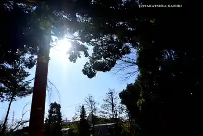川越氷川神社(埼玉県)