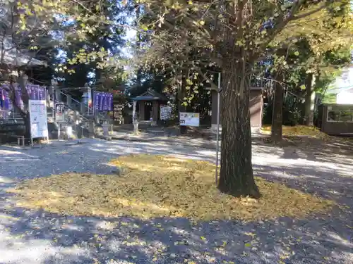 下野 星宮神社の庭園