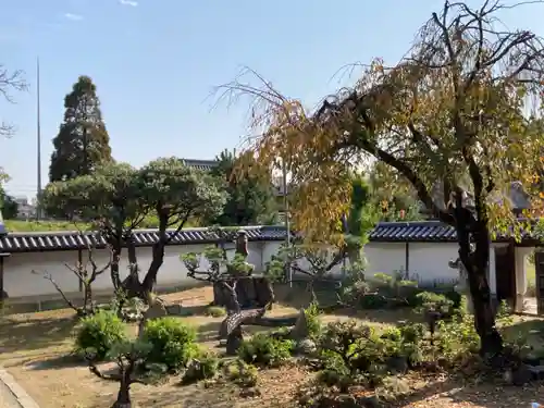 本徳寺の庭園