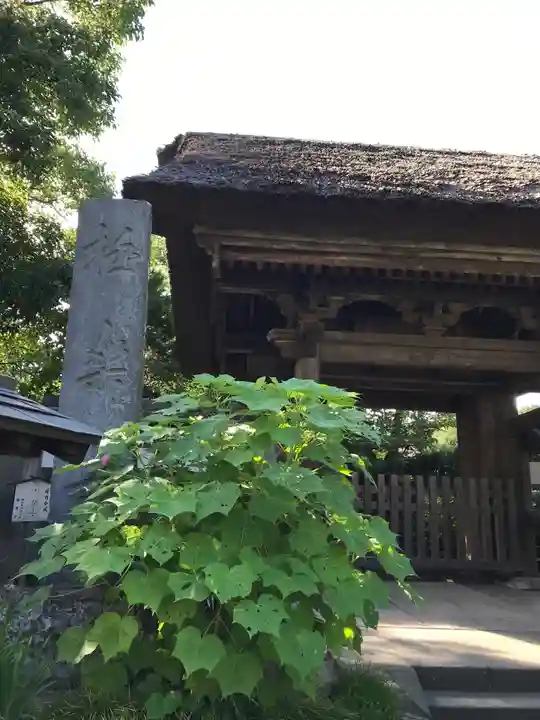 極楽寺(霊鷲山感應院極楽律寺)のその他建物