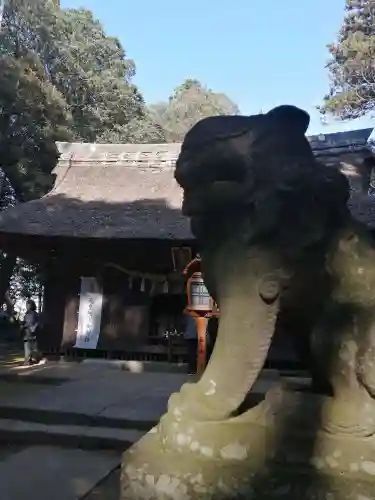 國王神社の狛犬