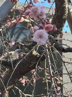 伊勢の国 四天王寺(三重県)