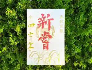 横浜御嶽神社の御朱印 2022年11月01日(火)〜(2022年10月30日(日) 11時38分08秒投稿)