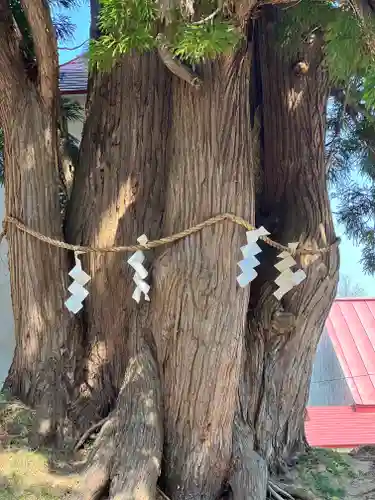 岩木山神社の自然