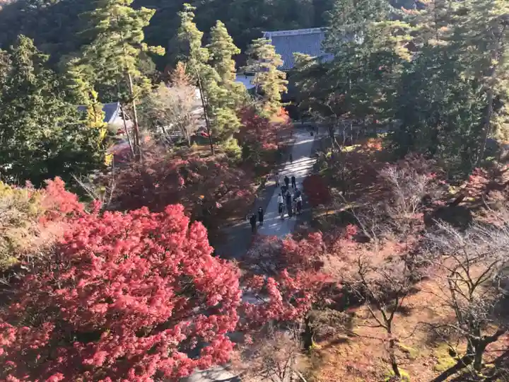 南禅寺のその他建物