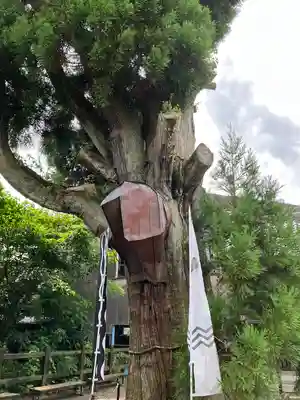 春日神社(岐阜県)