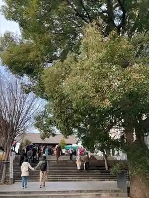 赤城神社(東京都)