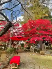 糠部神社の体験その他