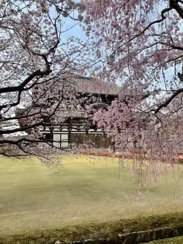 東大寺の{uncategorized: "未分類", other: "その他", undefined: "問題あり", building: "その他建物", grave: "お墓", sacred_gate: "鳥居", guardian: "狛犬", statue: "像", buddha: "仏像", history: "歴史", nature: "自然", garden: "庭園", animal: "動物", pagoda: "塔", temizu: "手水舎", mountain_gate: "山門・神門", sanctuary: "本殿・本堂", subordinate: "末社・摂社", art: "芸術", scenery: "景色", jizo: "地蔵", ema: "絵馬", goshuin: "御朱印", omikuji: "おみくじ", items: "授与品その他", amulet: "お守り", goshuincho: "御朱印帳", eats: "食事", festival: "お祭り", votive_dance: "神楽", shichigosan: "七五三参", wedding: "結婚式", experience: "体験その他", initially: "初詣", around: "周辺", anti_infection: "感染症対策"}