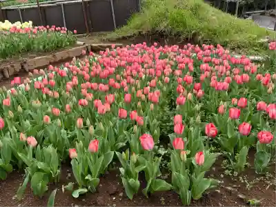 泉蔵寺(神奈川県)