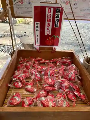 相模原氷川神社(神奈川県)