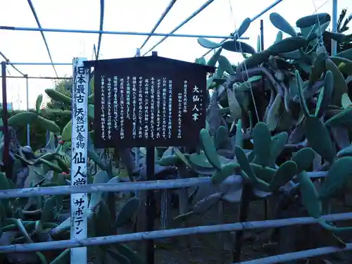 龍華寺のその他建物