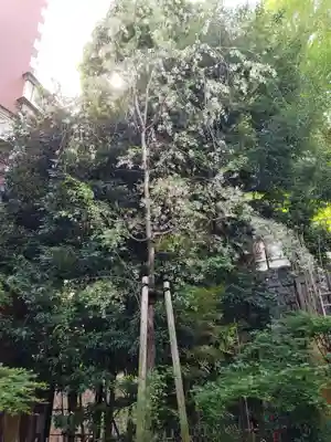 三田春日神社(東京都)