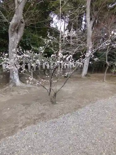 大洗磯前神社(茨城県)