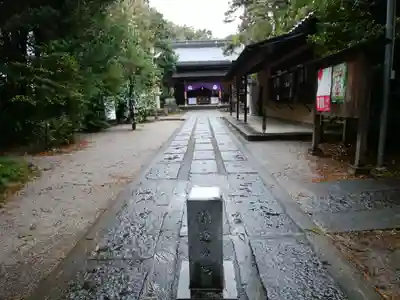 忍　諏訪神社・東照宮　(埼玉県)