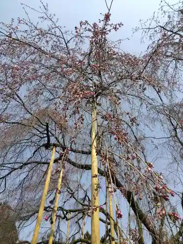 足羽神社(福井県)