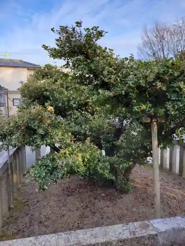 太閤山常泉寺(愛知県)
