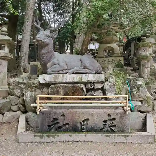 春日大社の手水舎