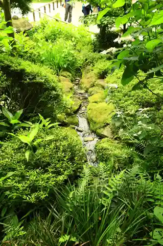 報国寺(神奈川県)