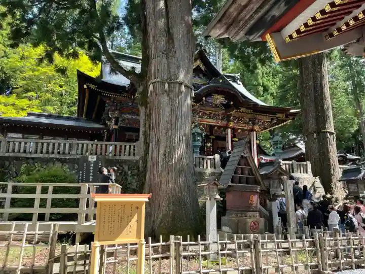 三峯神社(埼玉県)