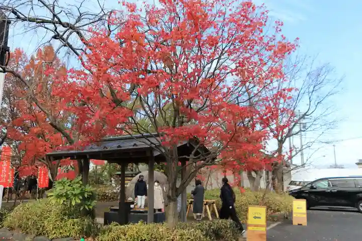 萬寿神社(柏屋本店願掛け萬寿石)(福島県)