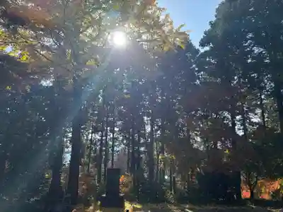 慈光寺(埼玉県)