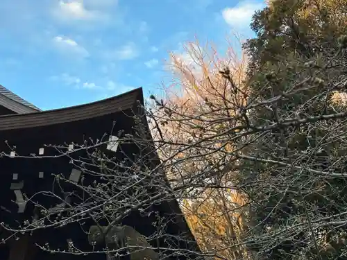 靖國神社(東京都)