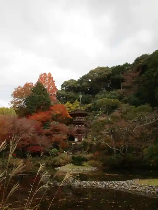 浄瑠璃寺(京都府)