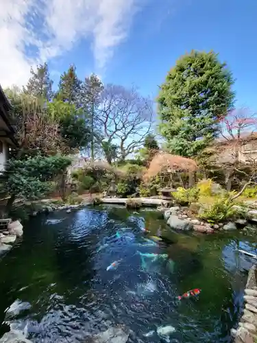 感通寺の庭園